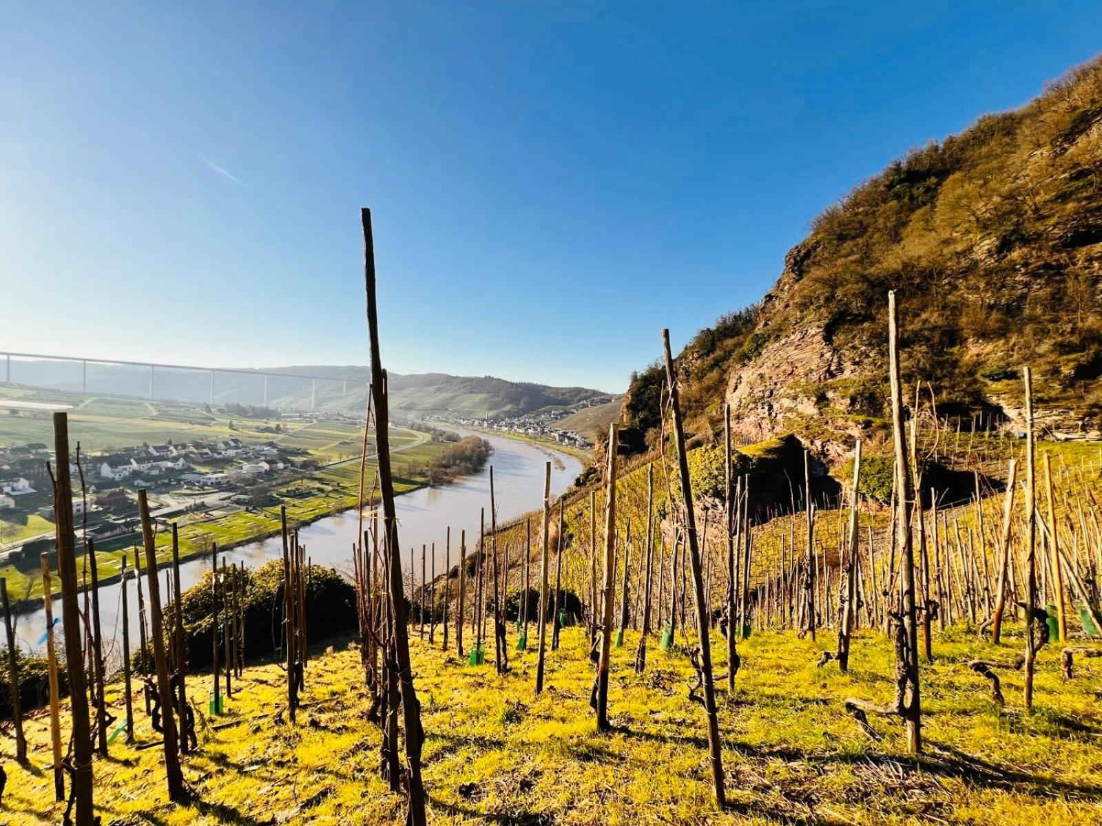 Gut Foersterlay - Exklusive Boutique Apartments Im Historischen Winzerhaus Direkt An Der Mosel Lösnich Екстериор снимка