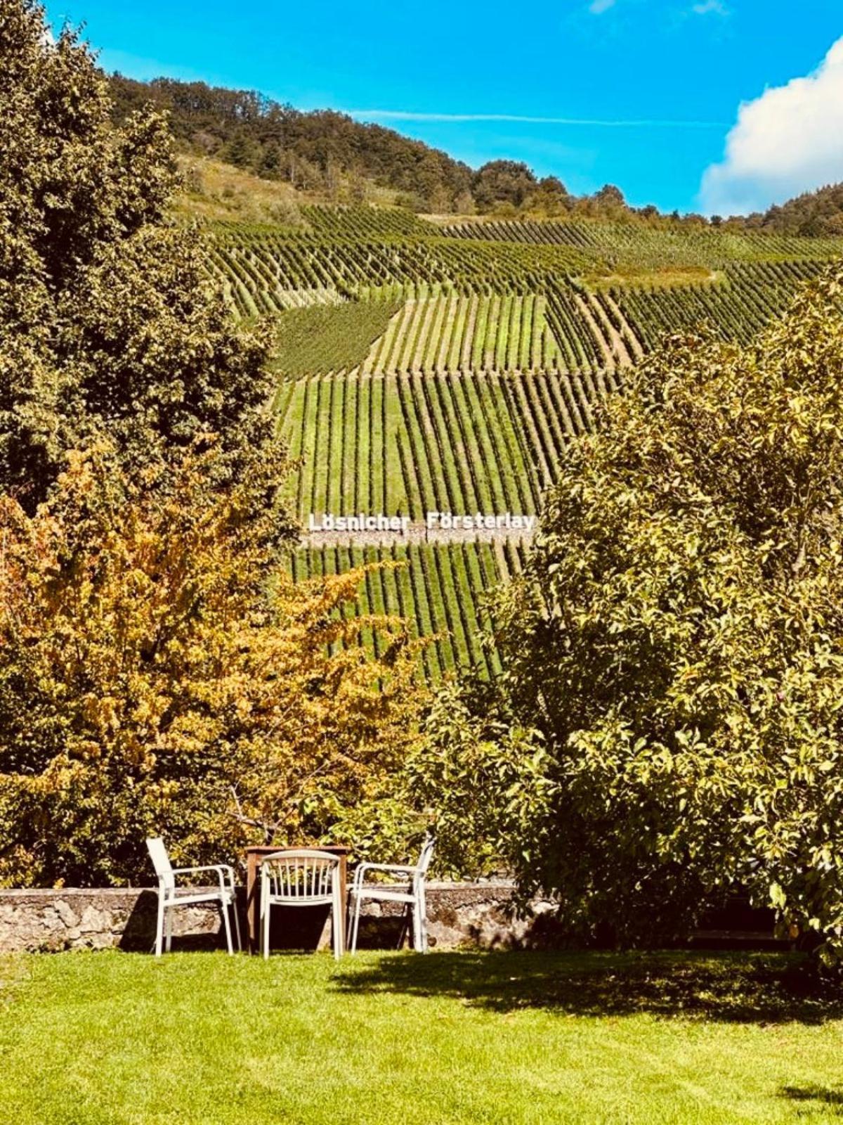 Gut Foersterlay - Exklusive Boutique Apartments Im Historischen Winzerhaus Direkt An Der Mosel Lösnich Екстериор снимка